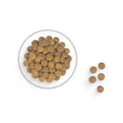 Royal Canin Club СС корм для взрослых собак с нормальной активностью