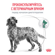 Royal Canin Satiety Weight Management dogs корм сухой полнорационный диетический для взрослых собак для снижения веса