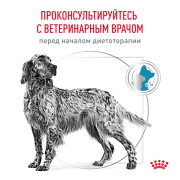 Royal Canin Sensitivity Control SC 21 Canine Корм сухой диетический для взрослых собак при пищевой аллергии или пищевой непереносимости
