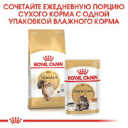 Royal Canin Siberian сухой корм для Сибирских кошек