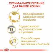 Royal Canin Siberian сухой корм для Сибирских кошек