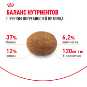 Royal Canin Sterilised 37 корм сухой сбалансированный для взрослых стерилизованных кошек