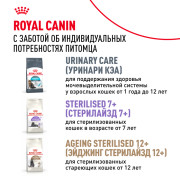 Royal Canin Sterilised 37 корм сухой сбалансированный для взрослых стерилизованных кошек