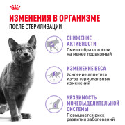 Royal Canin Sterilised 37 корм сухой сбалансированный для взрослых стерилизованных кошек