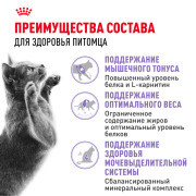 Royal Canin Sterilised 37 корм сухой сбалансированный для взрослых стерилизованных кошек