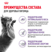 Royal Canin Sterilised 7+ Корм сухой сбалансированный для стерилизованных кошек