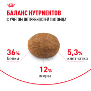 Royal Canin Sterilised 7+ Корм сухой сбалансированный для стерилизованных кошек