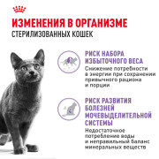 Royal Canin Sterilised Корм консервированный для стерилизованных взрослых кошек в соусе