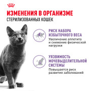 Royal Canin Sterilised Корм консервированный для стерилизованных взрослых кошек в желе