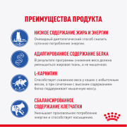 Royal Canin Light  Weight влажный корм для кошек для профилактики избыточного веса, кусочки в соусе