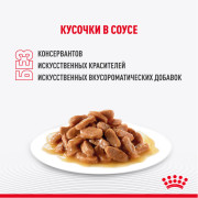 Royal Canin Light  Weight влажный корм для кошек для профилактики избыточного веса, кусочки в соусе