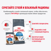 Royal Canin Light  Weight влажный корм для кошек для профилактики избыточного веса, кусочки в соусе