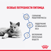 Royal Canin Light  Weight влажный корм для кошек для профилактики избыточного веса, кусочки в соусе