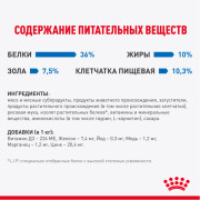 Royal Canin Light  Weight влажный корм для кошек для профилактики избыточного веса, кусочки в соусе