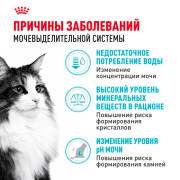 Royal Canin Urinary Care корм для взрослых кошек в целях профилактики МКБ