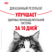 Royal Canin Urinary Care корм для взрослых кошек в целях профилактики МКБ