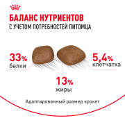 Royal Canin Urinary Care корм для взрослых кошек в целях профилактики МКБ