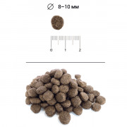 Blitz Holistic Lamb & Salmon Adult Dog Small Breeds (Grain Free) корм сухой беззерновой для взрослых собак мелких пород с ягненком и лососем