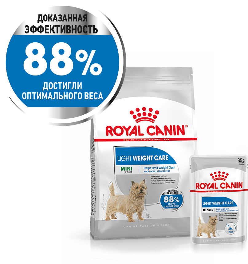 Фото щенков