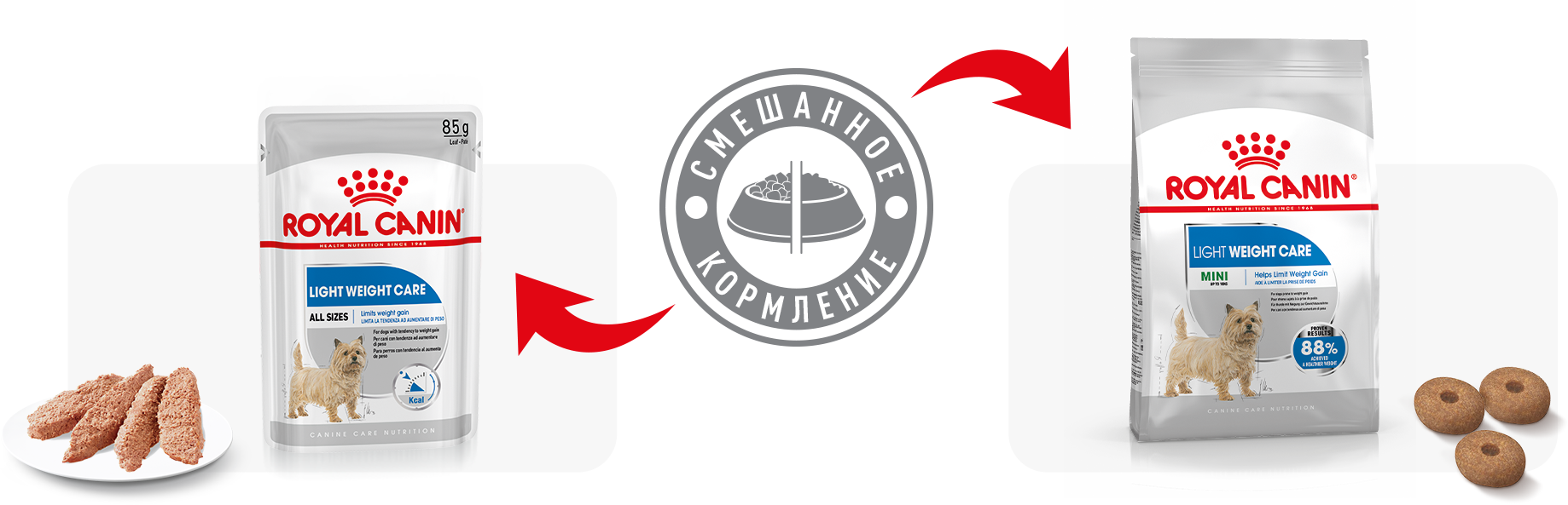 Рекомендации по кормлению