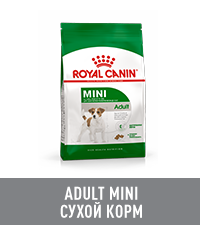 Изображение корма