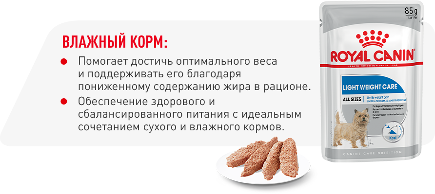 инфо