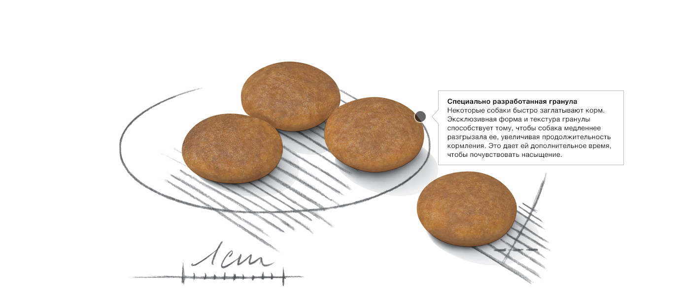 Изображение гранул