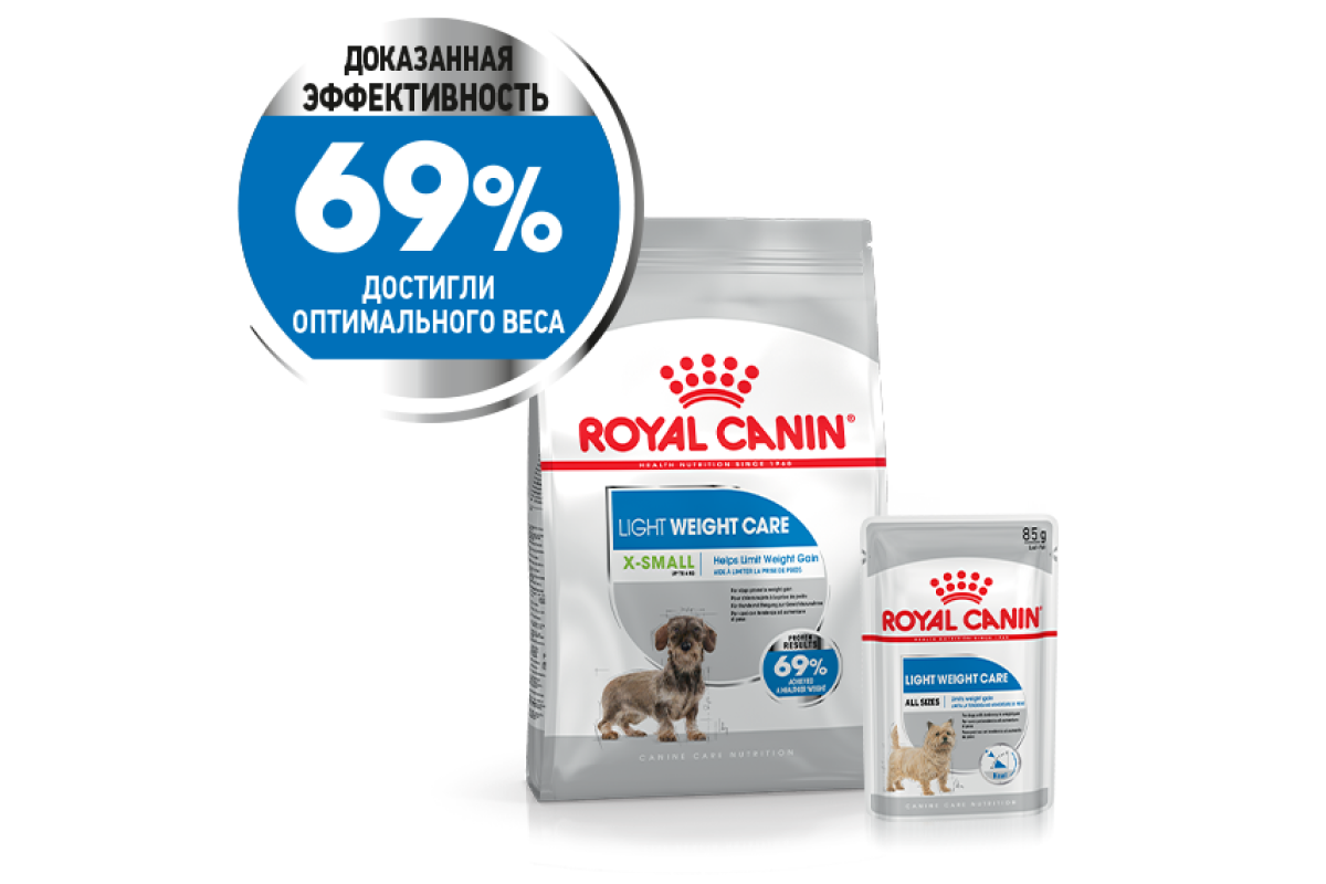 Фото щенков