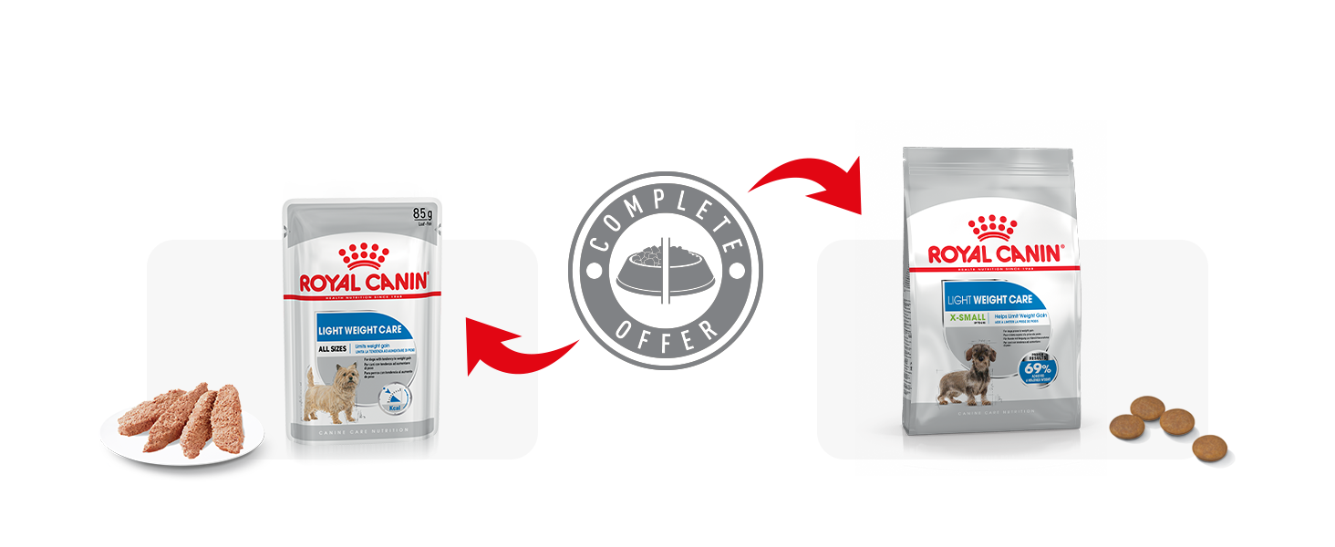 Рекомендации по кормлению