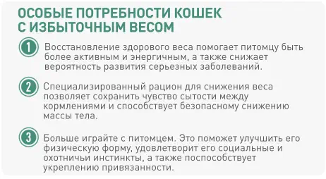 1 2 3 Восстановление здорового веса помогает питомцу быть более активным и энергичным, а также снижает вероятность развития серьезных заболеваний. Специализированный рацион для снижения веса позволяет сохранить чувство сытости между кормлениями и способствует безопасному снижению массы тела. Больше играйте с питомцем. Это поможет улучшить его физическую форму, удовлетворит его социальные и охотничьи инстинкты, а также поспособствует укреплению привязанности. *Sources: Only for dogs, FACCO SOFRES 2010  ОСОБЫЕ ПОТРЕБНОСТИ КОШЕК  С ИЗБЫТОЧНЫМ ВЕСОМ